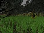 tmyke - Land with grass