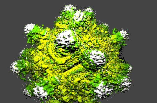 zprg - mandelbulb in a polyvoxvolume
