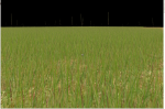 devsh - geom shaders grass 