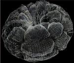 devsh - GeometryShaders