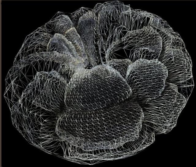 devsh - GeometryShaders